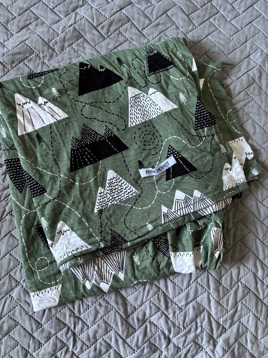 Posh Peanut Other - Posh Peanut Green Mountain Print Swaddle Bamboo Blanket